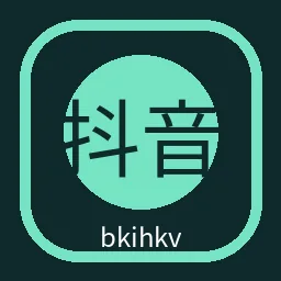 抖音风